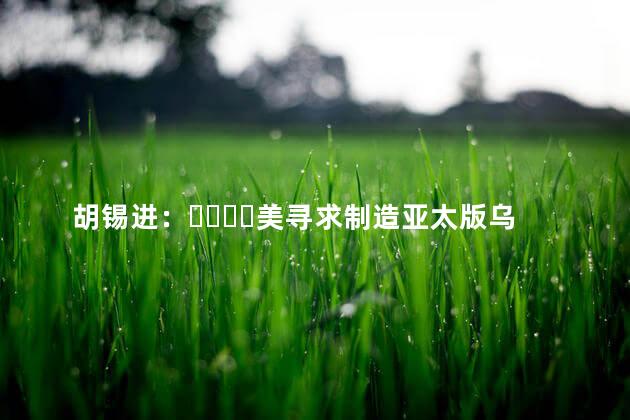 胡锡进：美寻求制造亚太版乌克兰